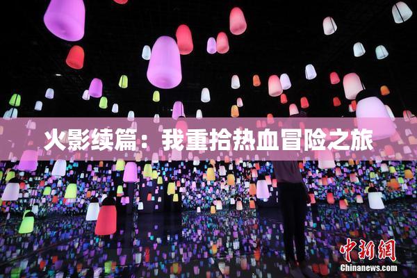火影续篇：我重拾热血冒险之旅