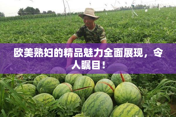 欧美熟妇的精品魅力全面展现，令人瞩目！