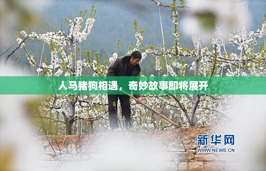 人马猪狗相遇，奇妙故事即将展开