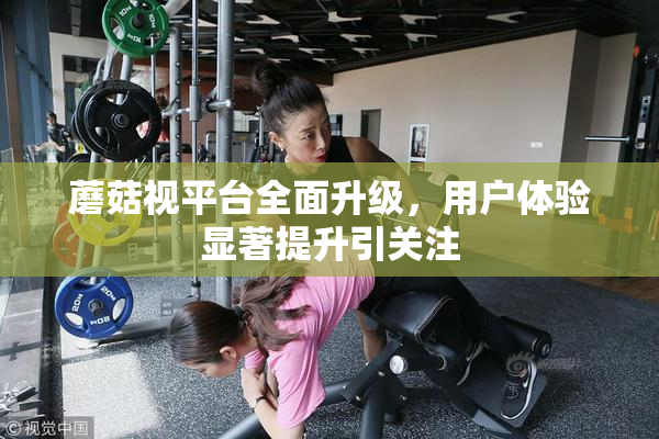 蘑菇视平台全面升级，用户体验显著提升引关注
