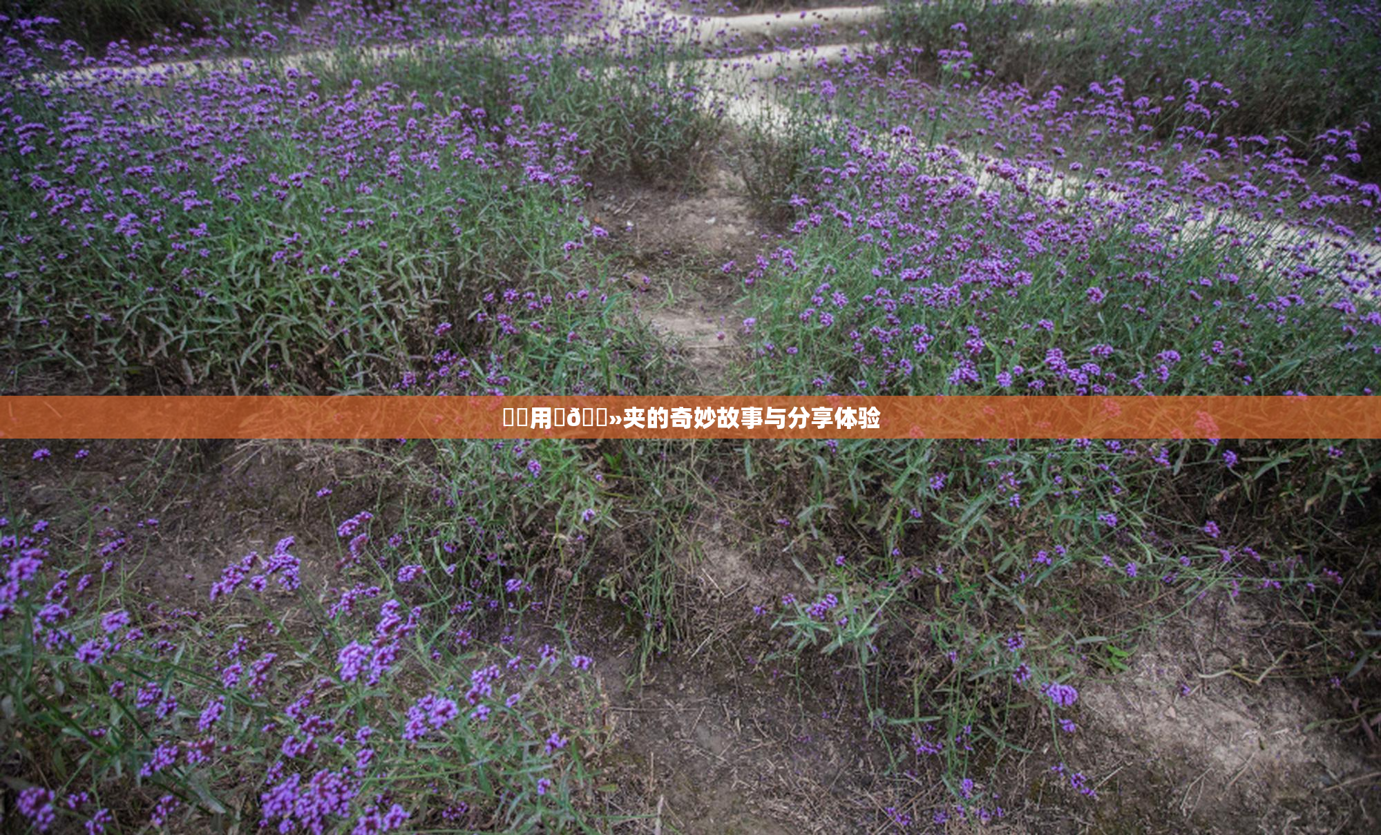 妺妺用‌🐻夹的奇妙故事与分享体验