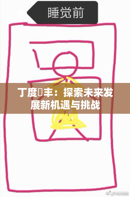 丁度巜丰：探索未来发展新机遇与挑战