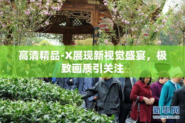 高清精品-X展现新视觉盛宴，极致画质引关注