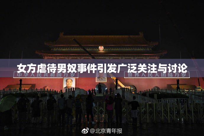 女方虐待男奴事件引发广泛关注与讨论