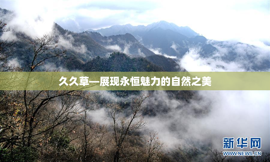 久久草—展现永恒魅力的自然之美
