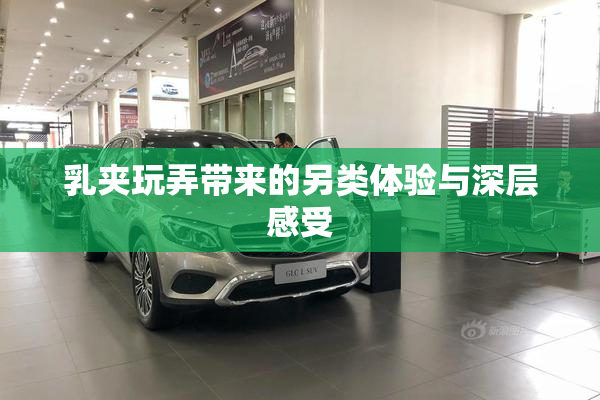 乳夹玩弄带来的另类体验与深层感受