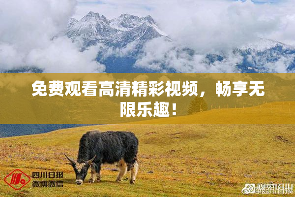 免费观看高清精彩视频，畅享无限乐趣！