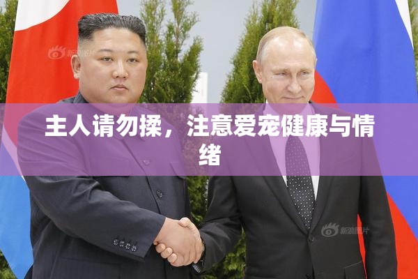 主人请勿揉，注意爱宠健康与情绪