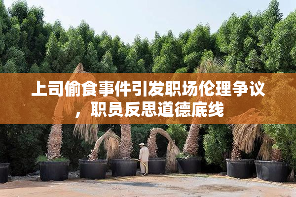 上司偷食事件引发职场伦理争议，职员反思道德底线