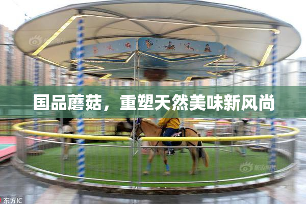 国品蘑菇，重塑天然美味新风尚