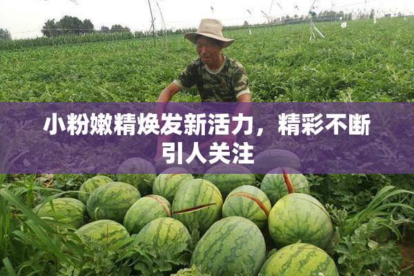 小粉嫩精焕发新活力，精彩不断引人关注