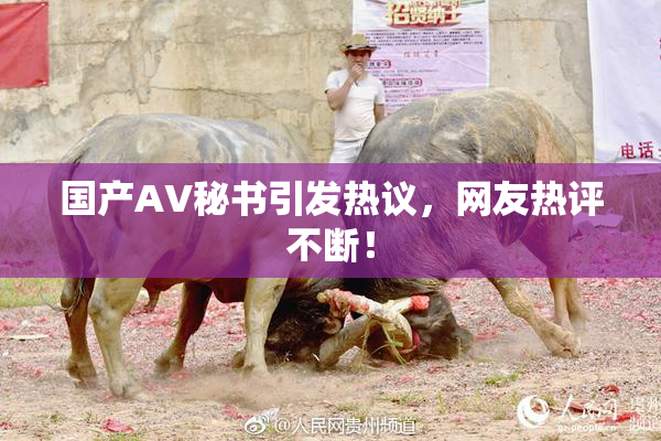 国产AV秘书引发热议，网友热评不断！