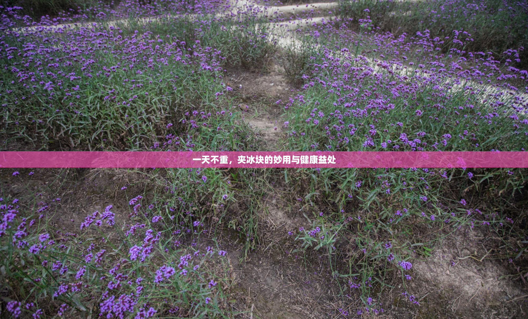一天不重，夹冰块的妙用与健康益处