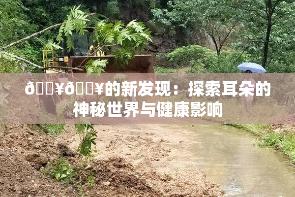 🔥🔥的新发现：探索耳朵的神秘世界与健康影响