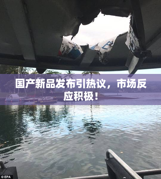 国产新品发布引热议，市场反应积极！