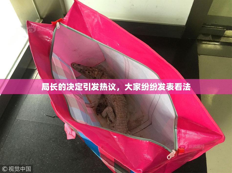 局长的决定引发热议，大家纷纷发表看法