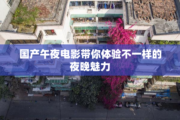 国产午夜电影带你体验不一样的夜晚魅力