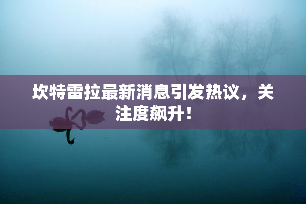 坎特雷拉最新消息引发热议，关注度飙升！