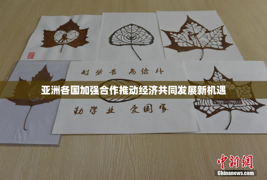 亚洲各国加强合作推动经济共同发展新机遇