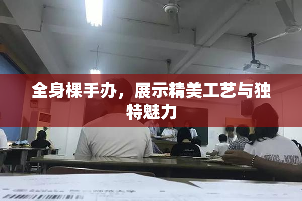全身棵手办，展示精美工艺与独特魅力