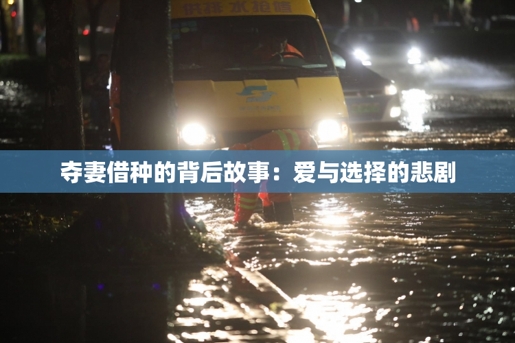 夺妻借种的背后故事：爱与选择的悲剧