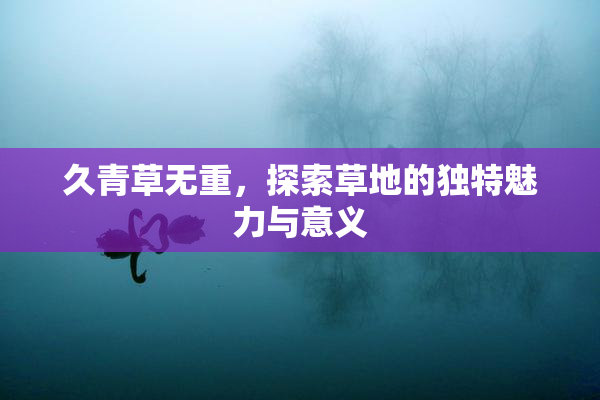 久青草无重，探索草地的独特魅力与意义