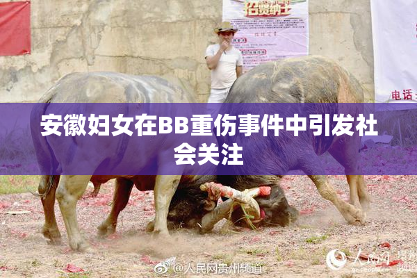 安徽妇女在BB重伤事件中引发社会关注