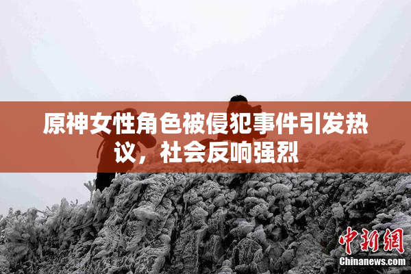 原神女性角色被侵犯事件引发热议，社会反响强烈