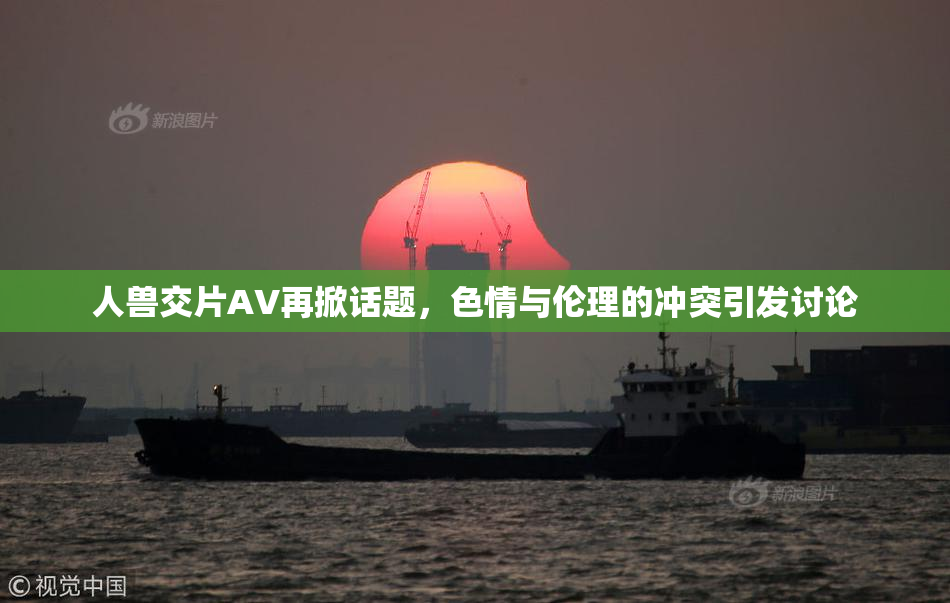 人兽交片AV再掀话题，色情与伦理的冲突引发讨论