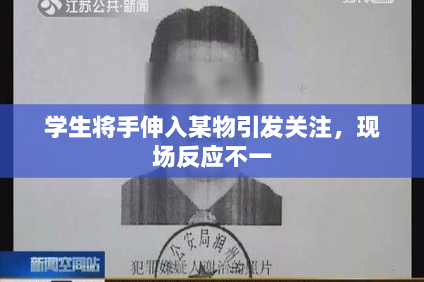 学生将手伸入某物引发关注，现场反应不一