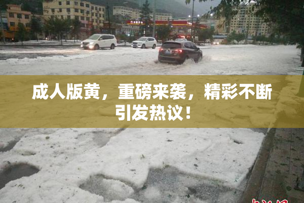 成人版黄，重磅来袭，精彩不断引发热议！