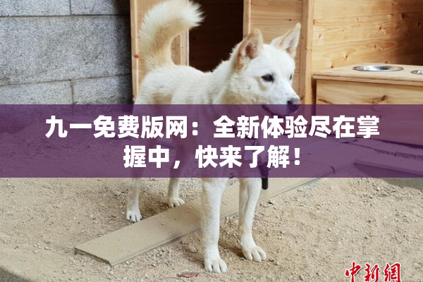 九一免费版网：全新体验尽在掌握中，快来了解！