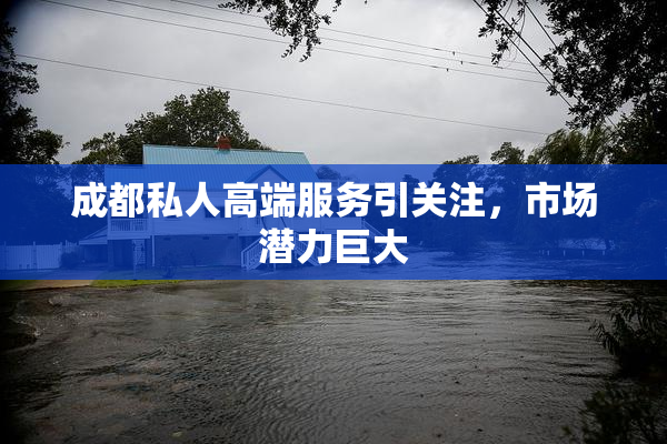 成都私人高端服务引关注，市场潜力巨大