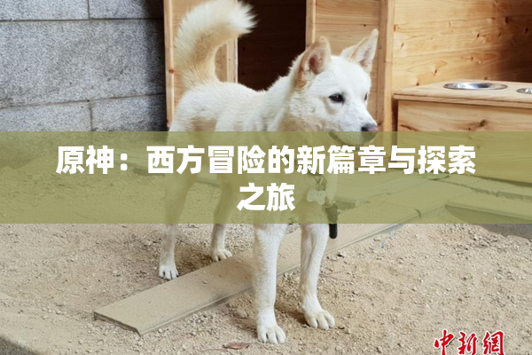 原神：西方冒险的新篇章与探索之旅