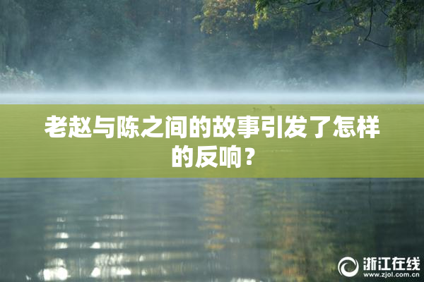 老赵与陈之间的故事引发了怎样的反响？