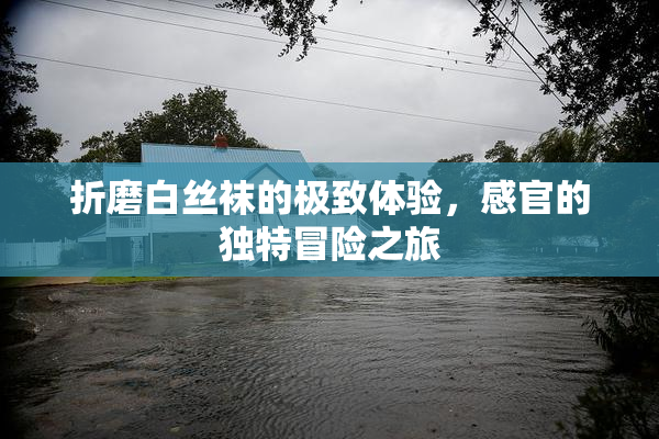 折磨白丝袜的极致体验，感官的独特冒险之旅