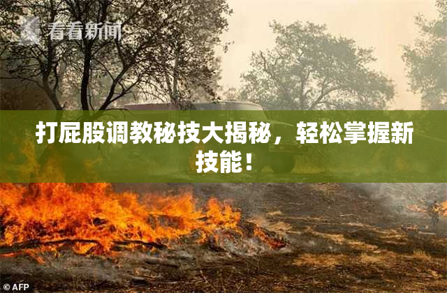 打屁股调教秘技大揭秘，轻松掌握新技能！