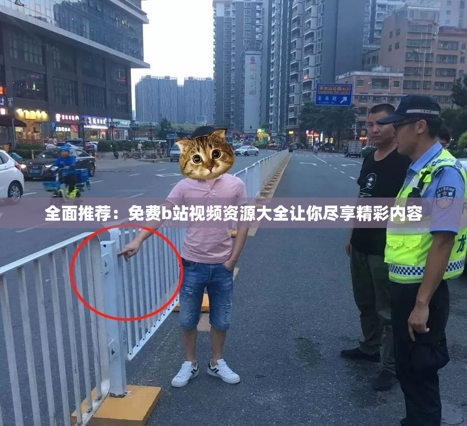全面推荐：免费b站视频资源大全让你尽享精彩内容