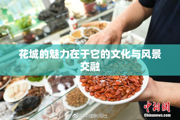 花城的魅力在于它的文化与风景交融
