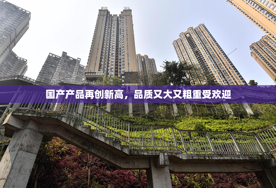 国产产品再创新高，品质又大又粗重受欢迎