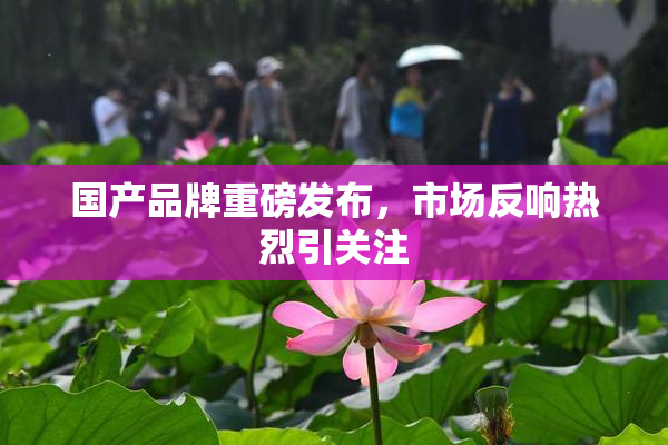 国产品牌重磅发布，市场反响热烈引关注