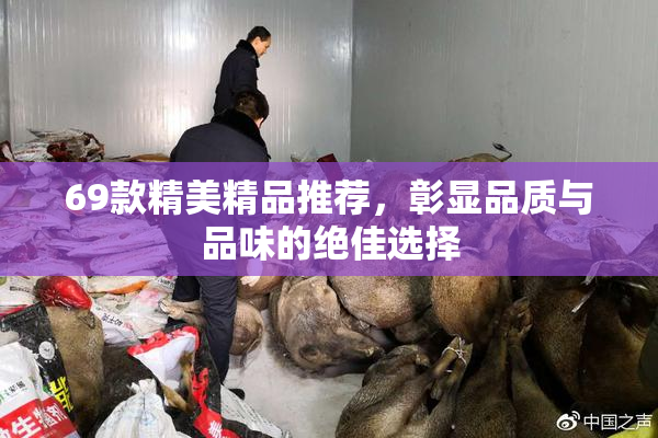 69款精美精品推荐，彰显品质与品味的绝佳选择