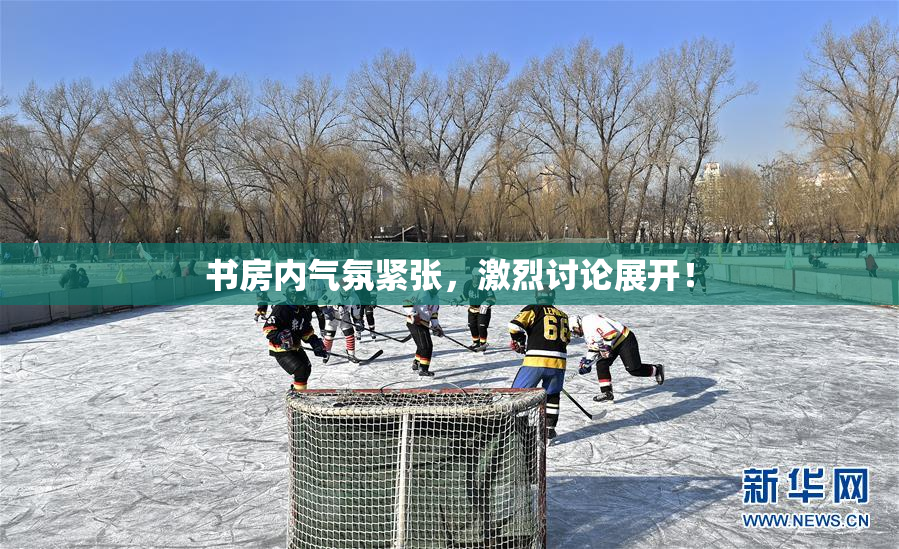 书房内气氛紧张，激烈讨论展开！