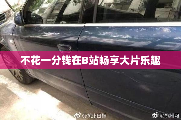 不花一分钱在B站畅享大片乐趣