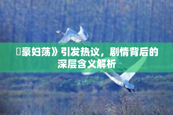 巜豪妇荡》引发热议，剧情背后的深层含义解析