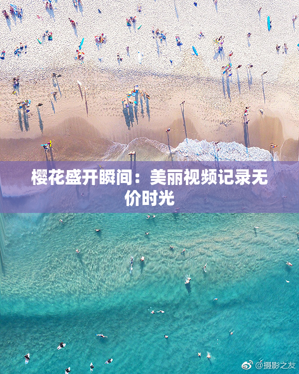樱花盛开瞬间：美丽视频记录无价时光