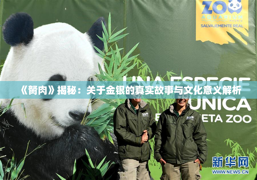 《胬肉》揭秘：关于金银的真实故事与文化意义解析