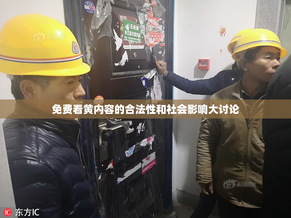 免费看黄内容的合法性和社会影响大讨论