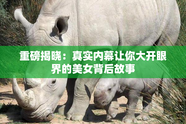 重磅揭晓：真实内幕让你大开眼界的美女背后故事