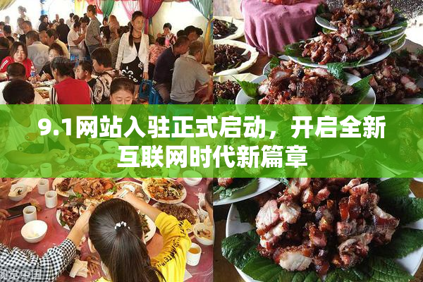 9.1网站入驻正式启动，开启全新互联网时代新篇章